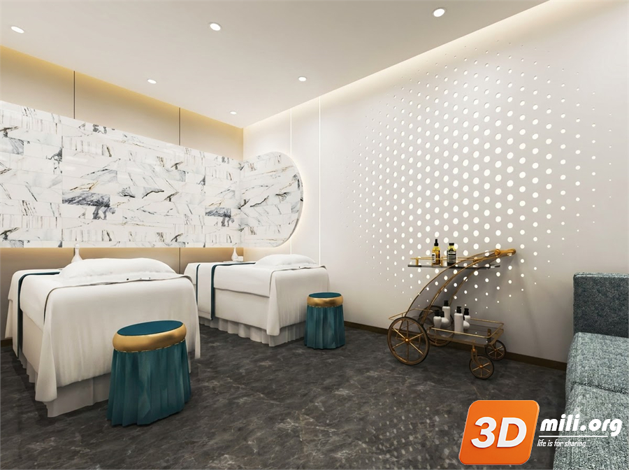 Spa Skp Files 